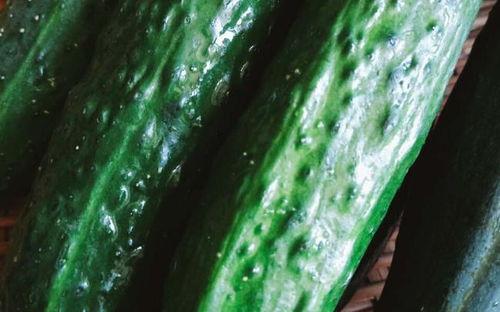 有系统吃瓜,系统吃瓜背后的真相与内幕