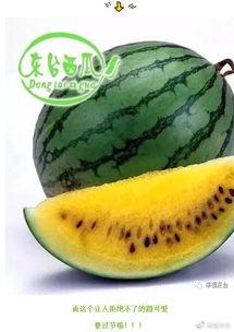 兴业全球基金吃瓜,揭秘投资界的“吃瓜”风云