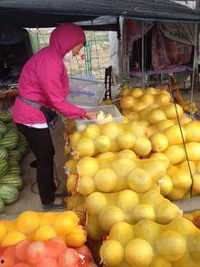甘肃学校吃瓜,揭开校园食品安全背后的真相