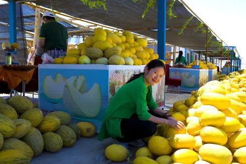 甘肃学校吃瓜,揭开校园食品安全背后的真相