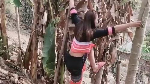 爬到树上吃瓜视频,揭秘爬树吃瓜的独特视角