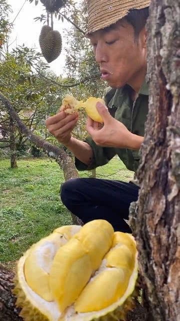 爬到树上吃瓜视频,揭秘爬树吃瓜的独特视角