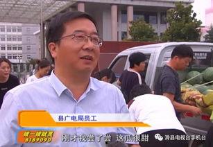 领导干部吃瓜,领导干部“吃瓜”现象背后的思考与启示