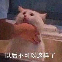 朝阳吃瓜群众出处,揭秘都市生活里的趣味八卦