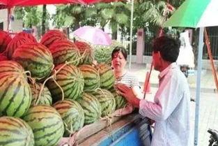 临海花店老板吃瓜,临海花店老板的瓜田奇遇记