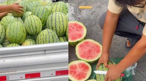 临海花店老板吃瓜,临海花店老板的瓜田奇遇记