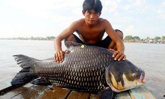 中国渔民吃瓜图片真实,现场吃瓜成网红现象