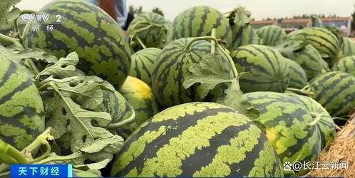 网友如何吃瓜,揭秘网络八卦背后的真相与乐趣