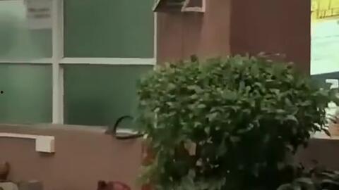 梧州吃瓜新闻,揭秘当地热点事件背后的真相