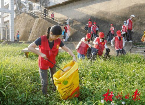 梧州吃瓜新闻,揭秘当地热点事件背后的真相