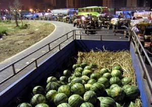 新华城连续吃瓜,连续吃瓜，揭秘幕后真相