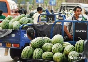 新华城连续吃瓜,连续吃瓜,揭秘幕后真相