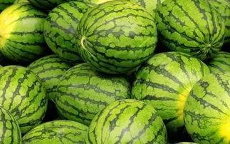 吃瓜吃带瓜,揭秘吃带瓜的独特魅力