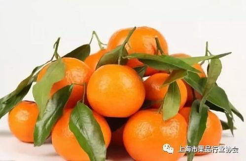 橘子吃瓜直播,揭秘网红幕后生活