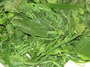 瓜尖舂吃嘛,探寻传统美食的魅力