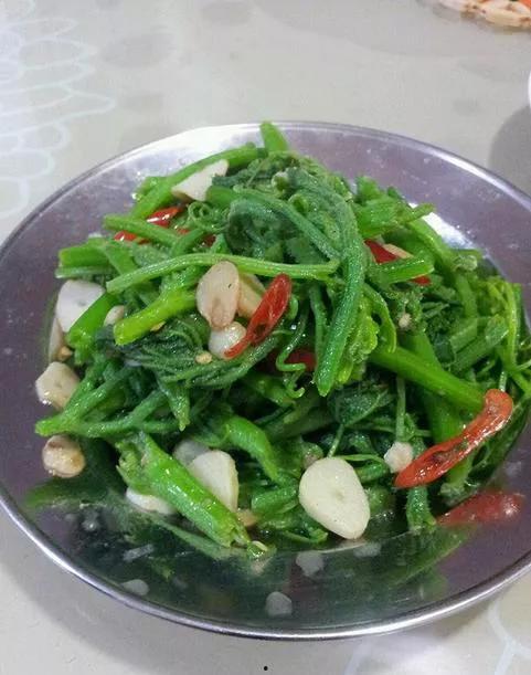 瓜尖舂吃嘛,探寻传统美食的魅力