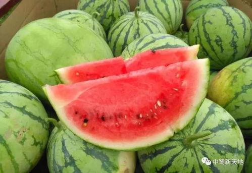 51吃瓜今日吃瓜爱可可,今日热点事件，爱可可带你一探究竟