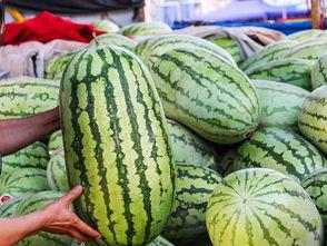 51吃瓜今日吃瓜爱可可,今日热点事件,爱可可带你一探究竟