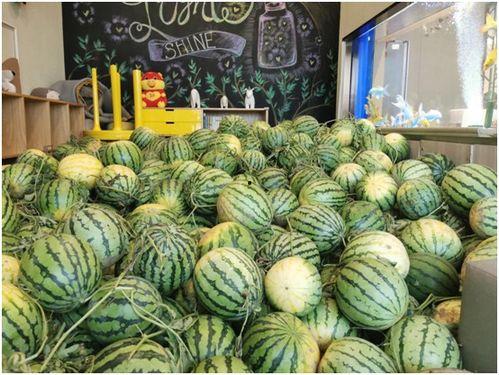 51吃瓜今日吃瓜爱可可,今日热点事件,爱可可带你一探究竟