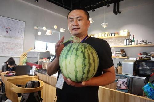 领导干部吃瓜,领导干部“吃瓜”现象背后的思考与启示