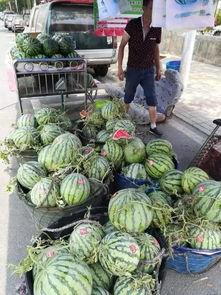 天津热门吃瓜事件